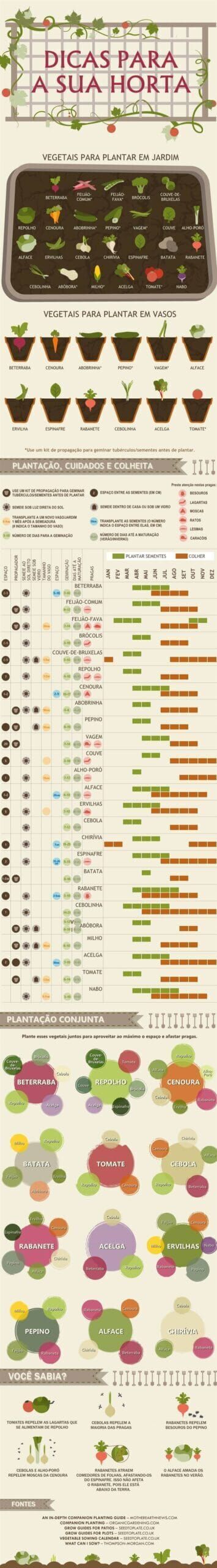 Calendário e Dicas pra Horta